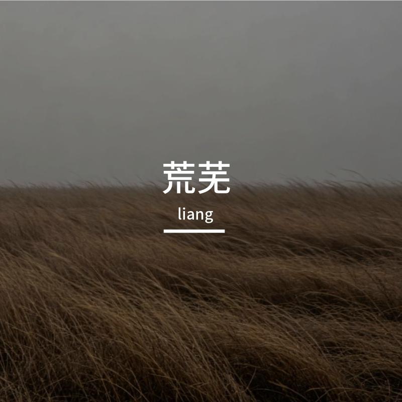 荒芜封面