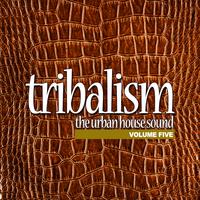 Tribalism, Vol. 5 - The Urban House Sound