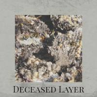 Deceased Layer