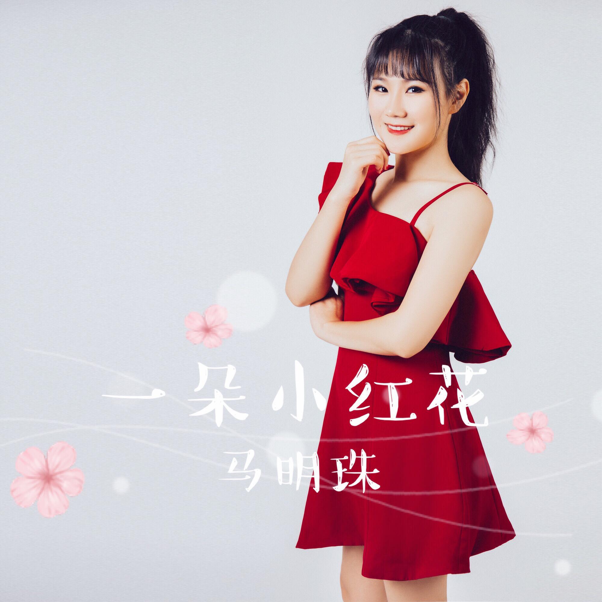 一朵小红花封面