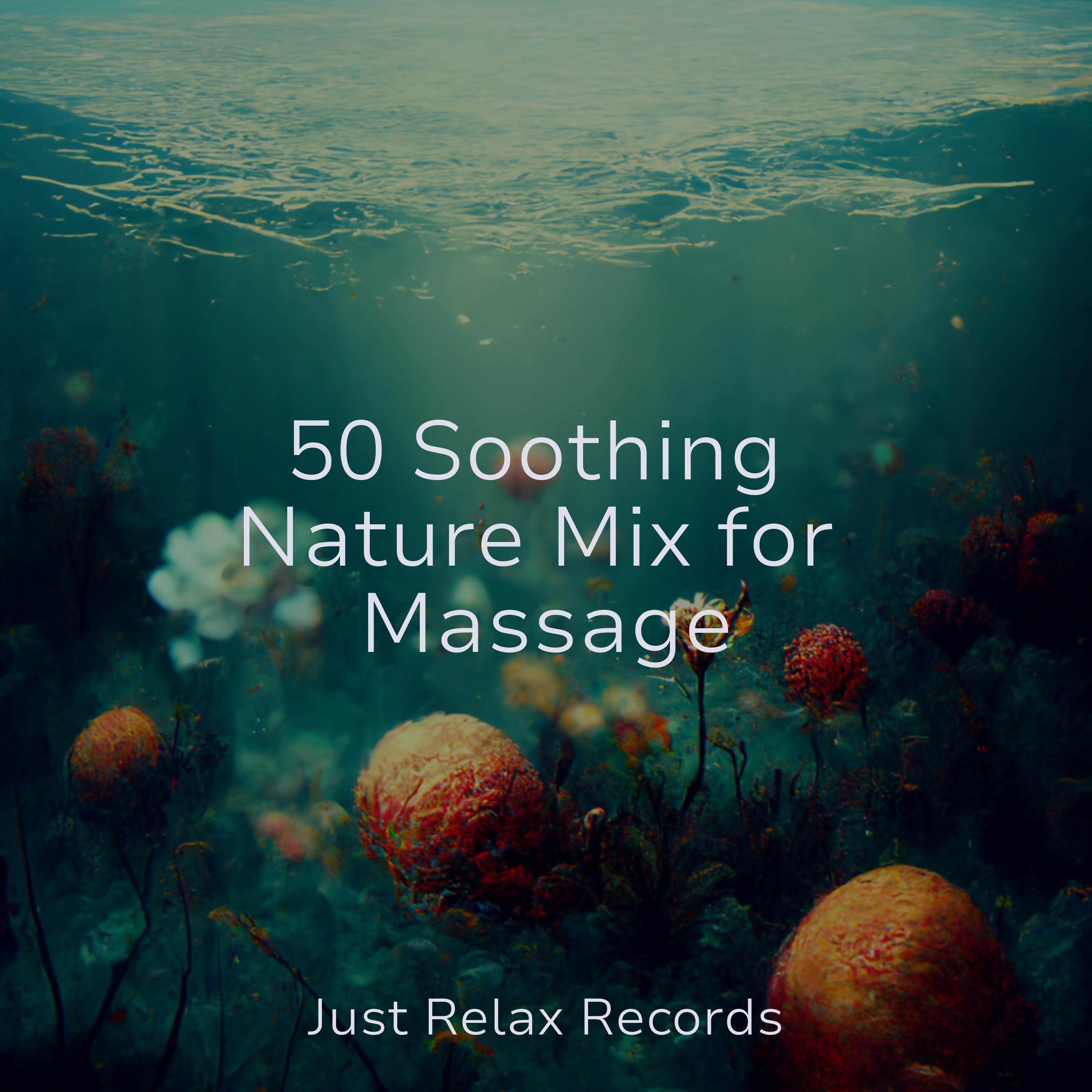 Enchanted Enigma Symphony Children's Music/Shakuhachi Sakano