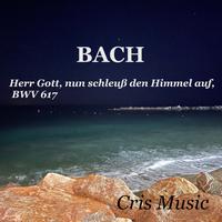 Bach: Das Orgel-Büchlein, BWV 599-644: Epiphany (Feast of the Purification): 19. Herr Gott, nun schleuß den Himmel auf, BWV 617