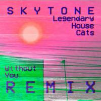 Without You (feat. Legendary House Cats) (Remix)