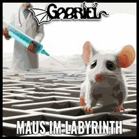 Maus im Labyrinth