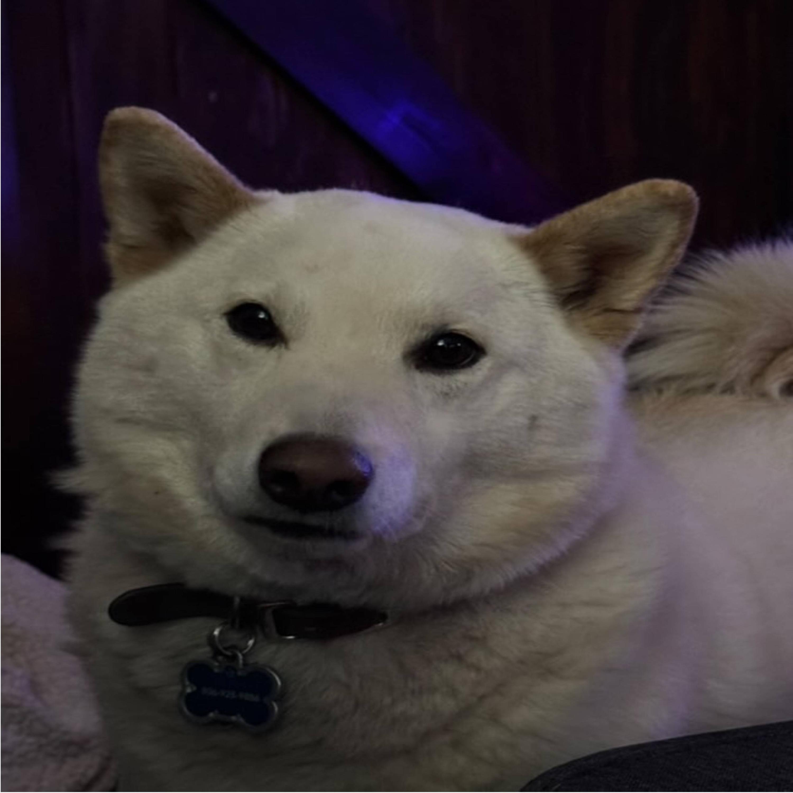 With You (sped up) (feat. N!ck)