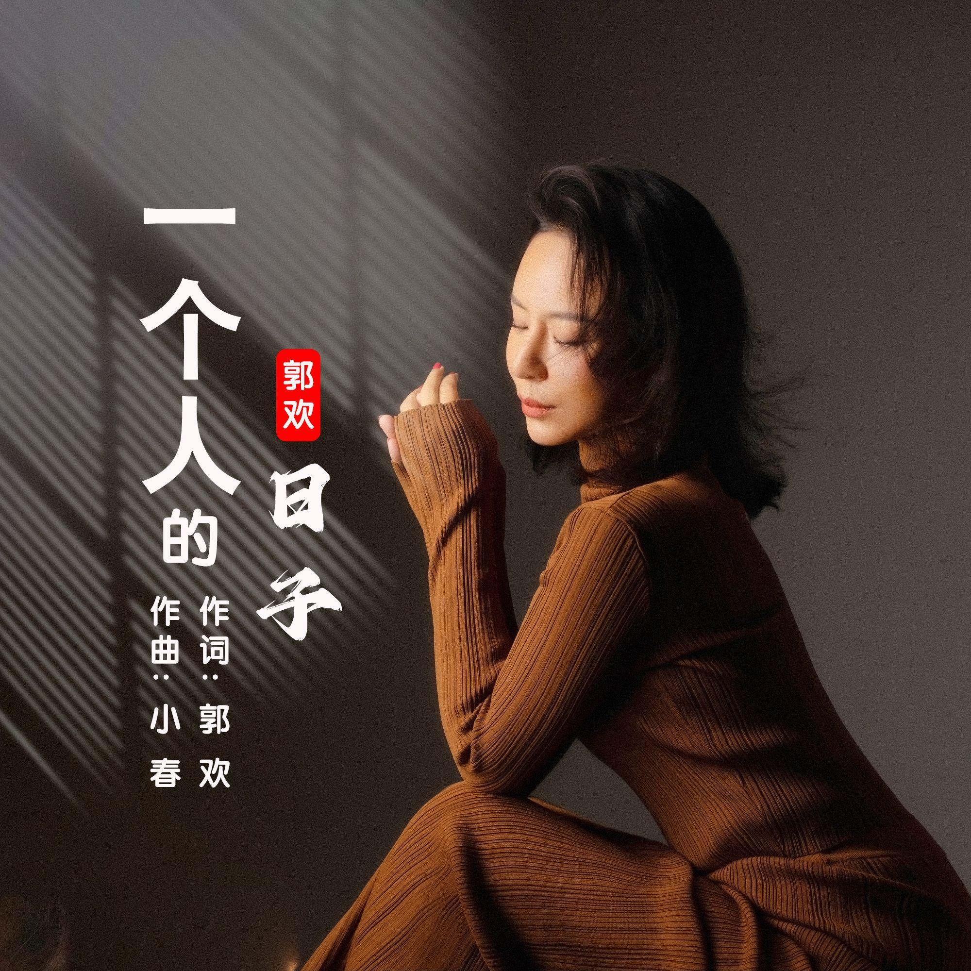 一个人的日子封面