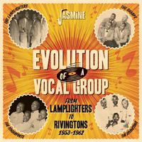 Evolution of a Vocal Group from the Lamplighters to Rivingtons 1953-1962