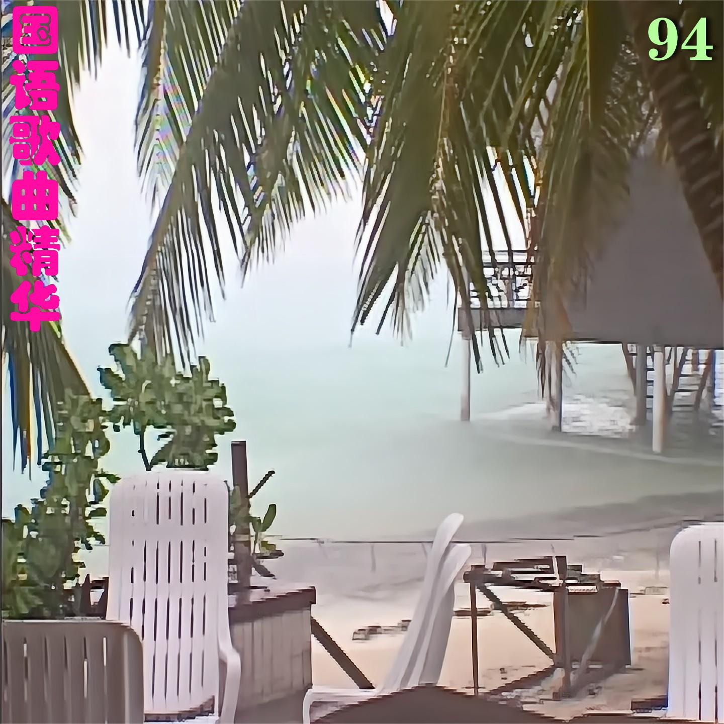错过你错过爱封面