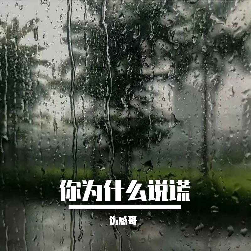 你为什么说谎 - DJ辞总封面