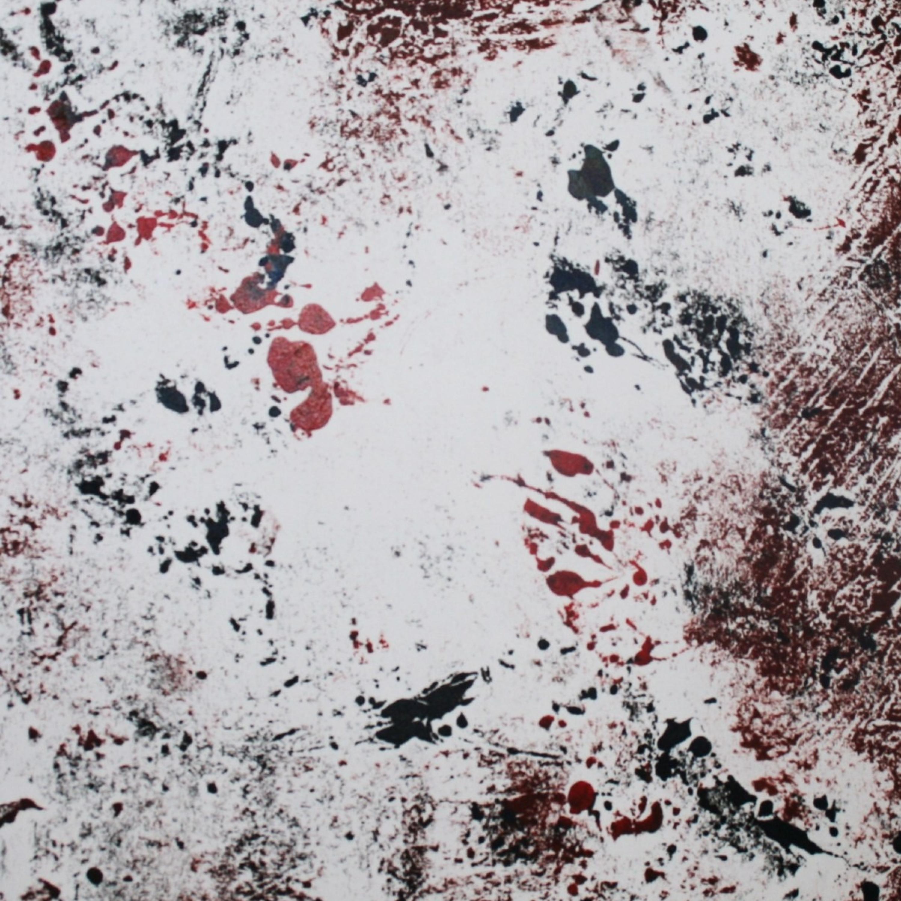 Flubirds_Overhead, The Albatross_Mr Dog | 在线播放_Flubirds歌词_Flubirds下载 | 网易云音乐