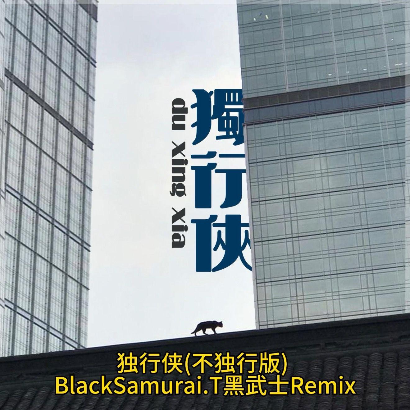 独行侠(不独行版)-BlackSamurai.T黑武士封面