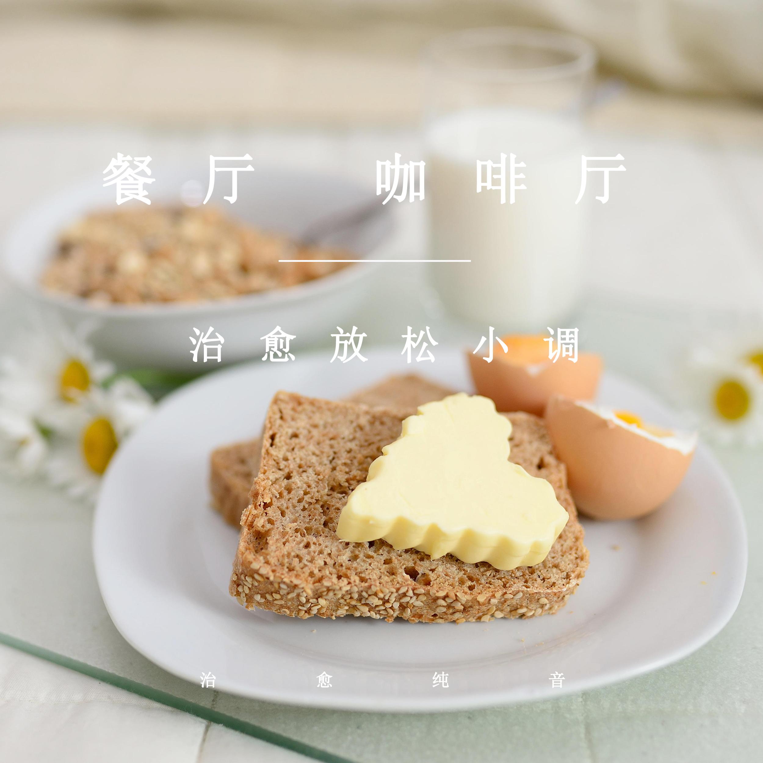 心向远方封面