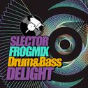 Selector FrogMix Drum&Bass Delight专辑