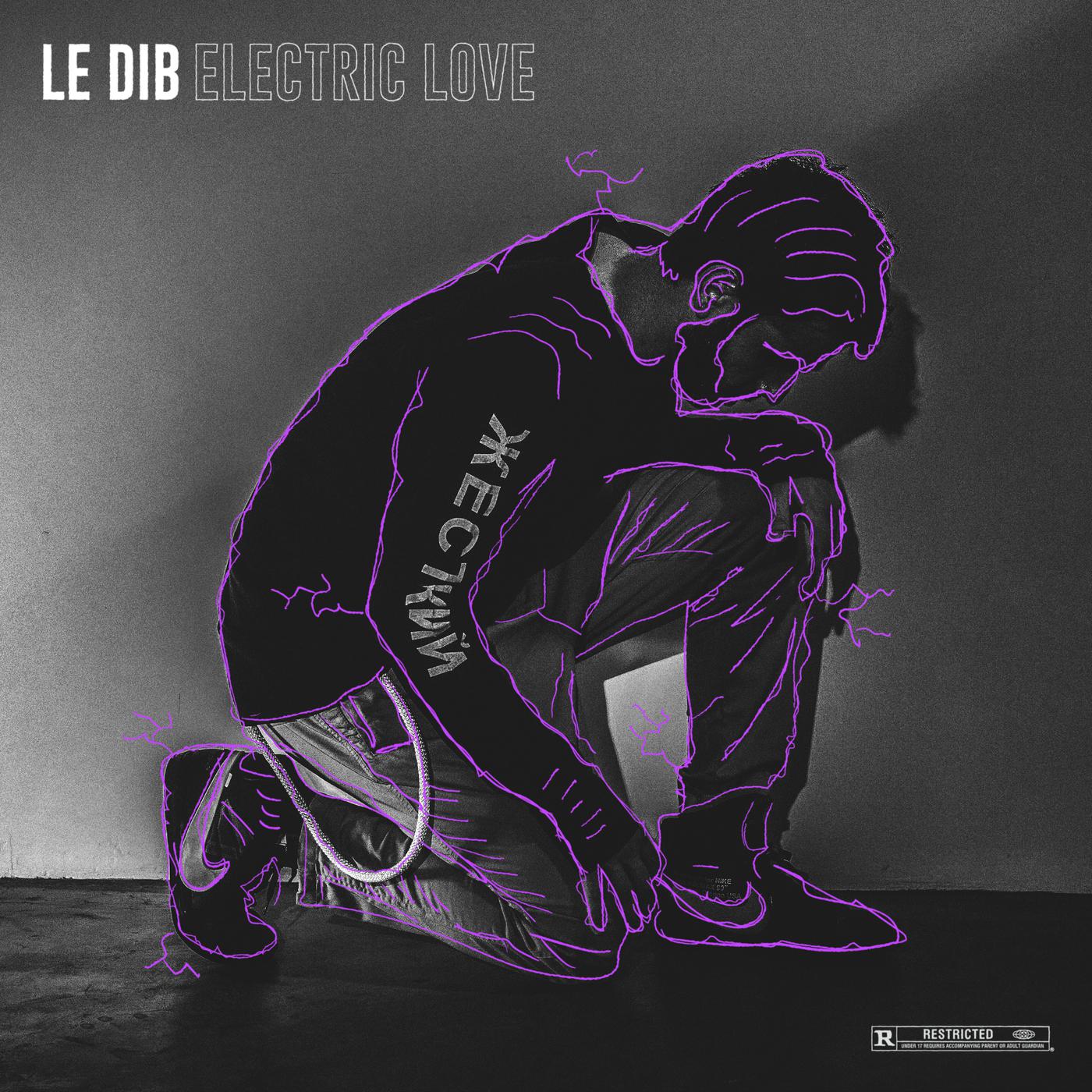 Le Dib - Electric Love