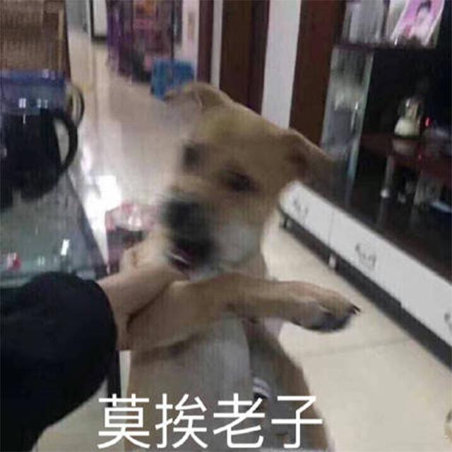 一首很随意的歌专辑