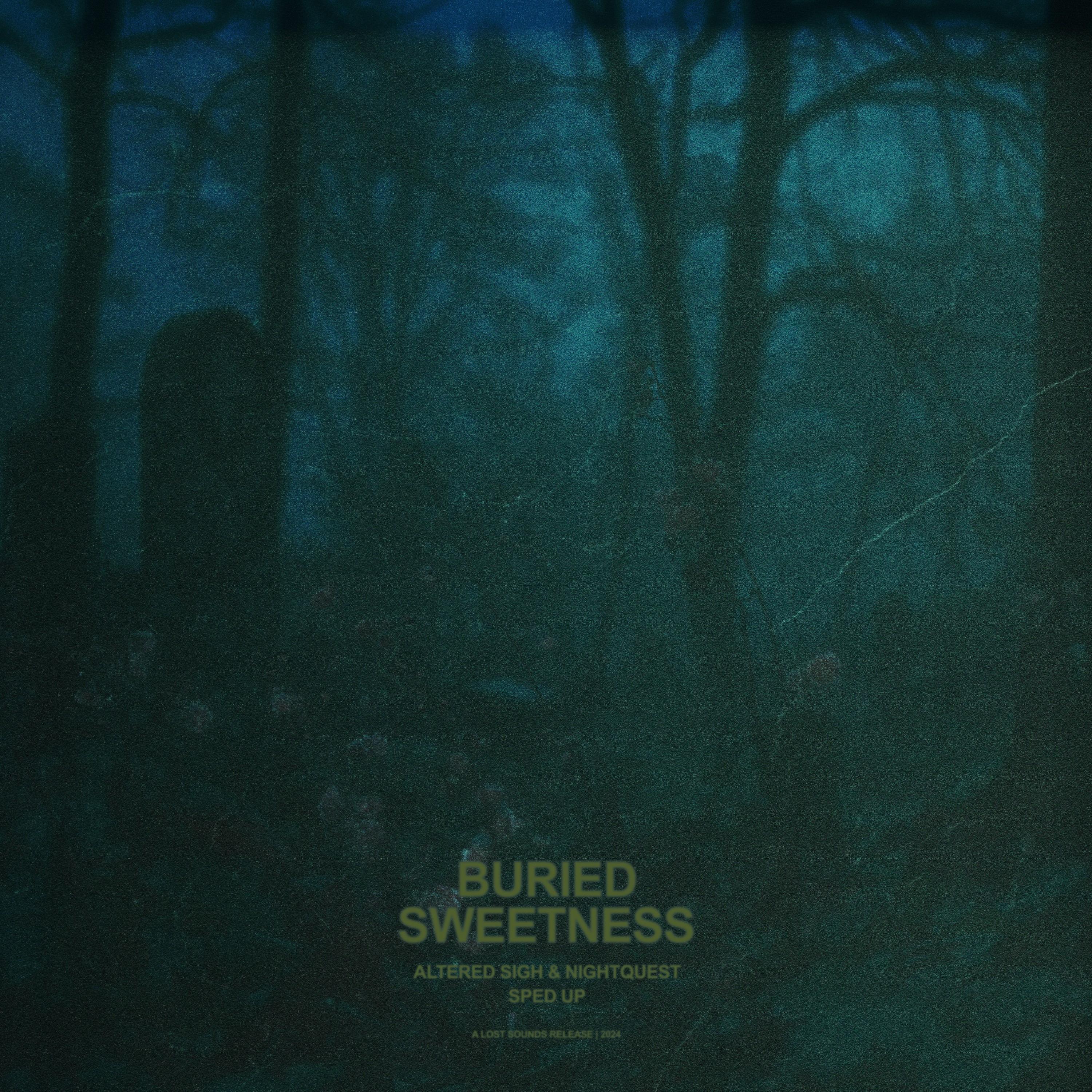 buried sweetness (sped up)专辑