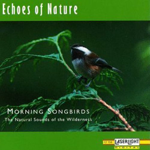 Echoes of Nature: Morning Songbirds专辑