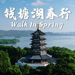 钱塘湖春行 Walk In Spring