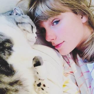 Taylor Swift||最佳歌曲Top40（个人向:)
