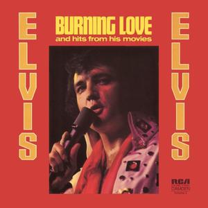 Burning Love (Live '73) (Karaoke) （原版立体声） （升1半音）