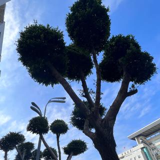 我陪你走的路 忘了就忘了吧