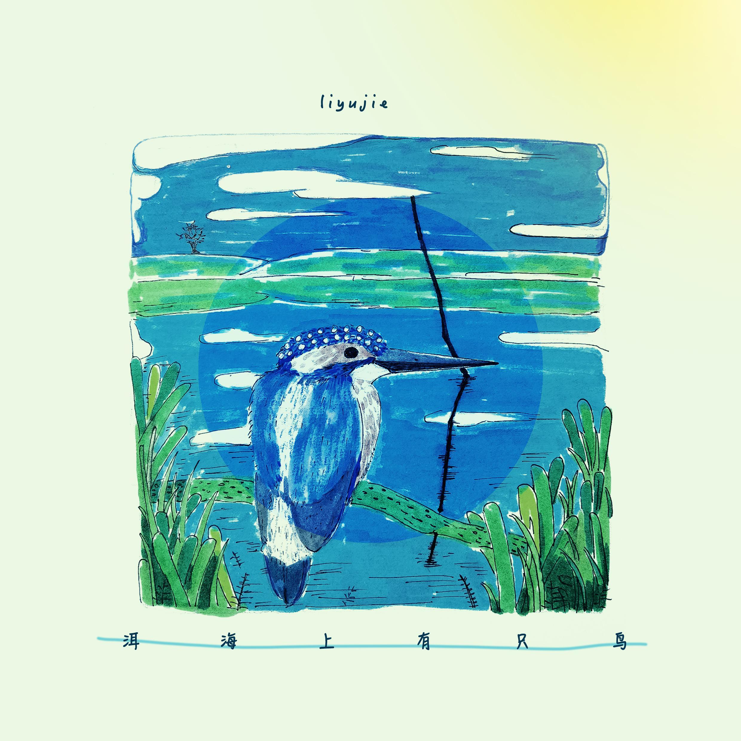 洱海上有只鸟 (Inst.)