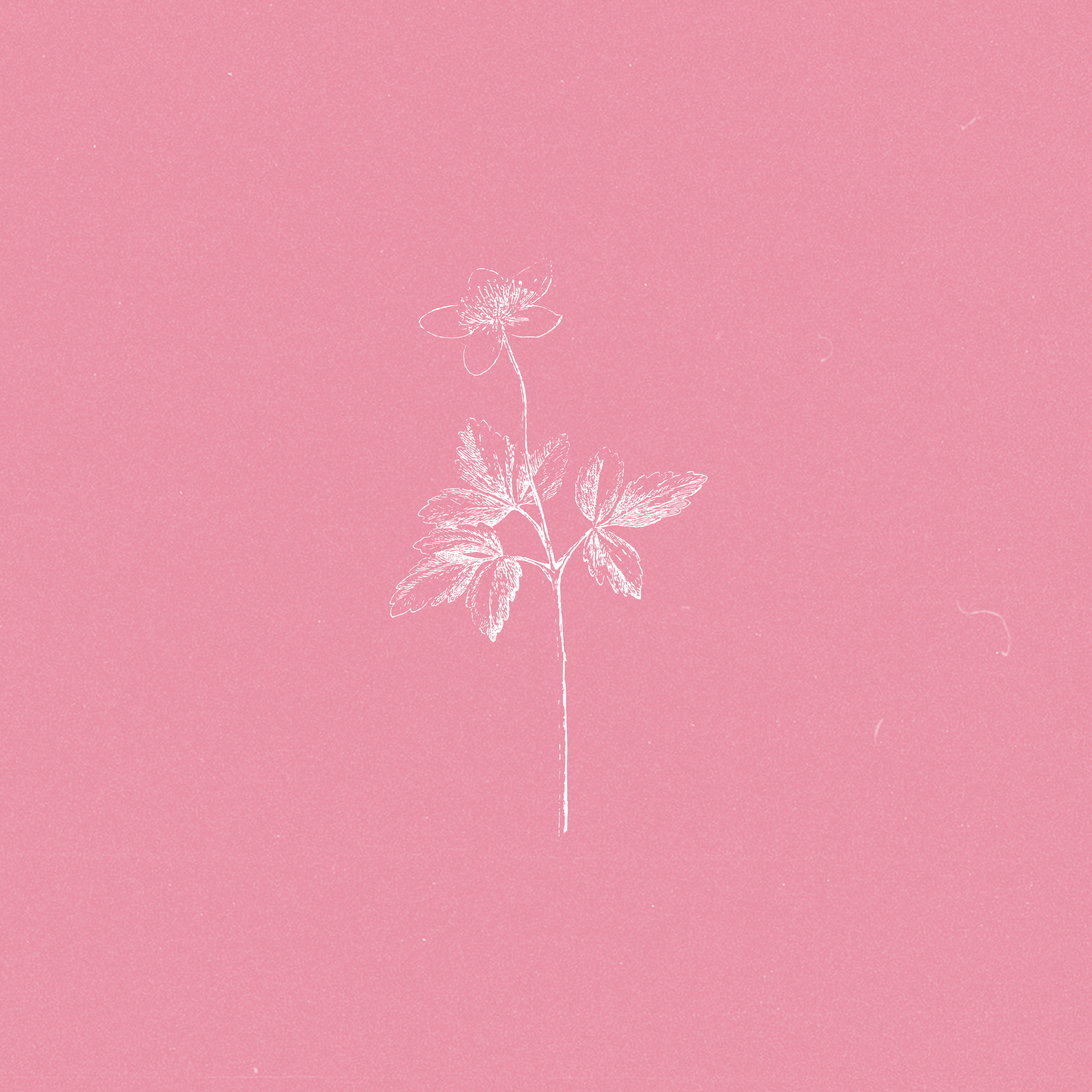 I DON'T TRUST YOU ANYMORE