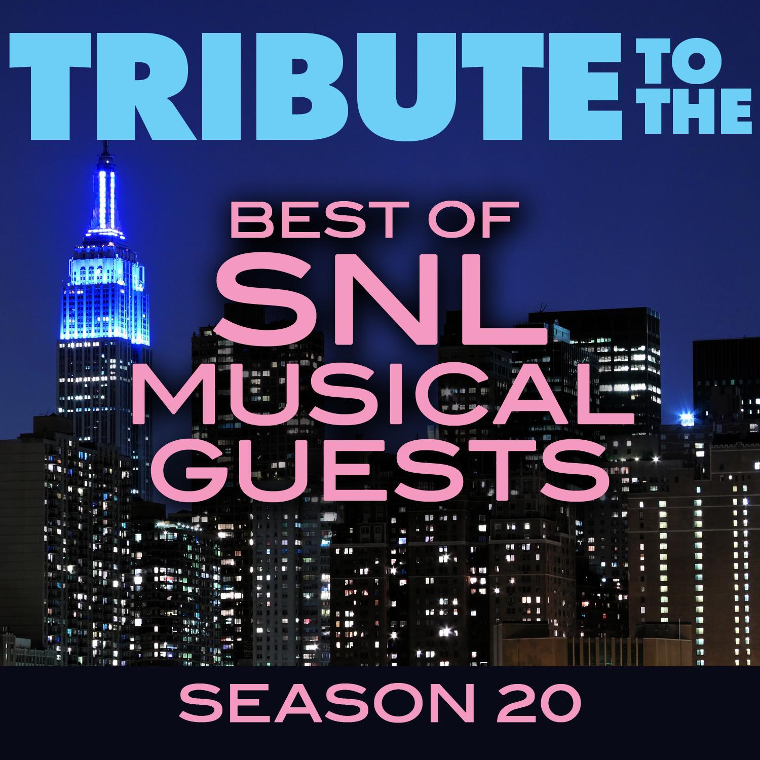 Tribute to the Best of SNL Musical Guests Season 20