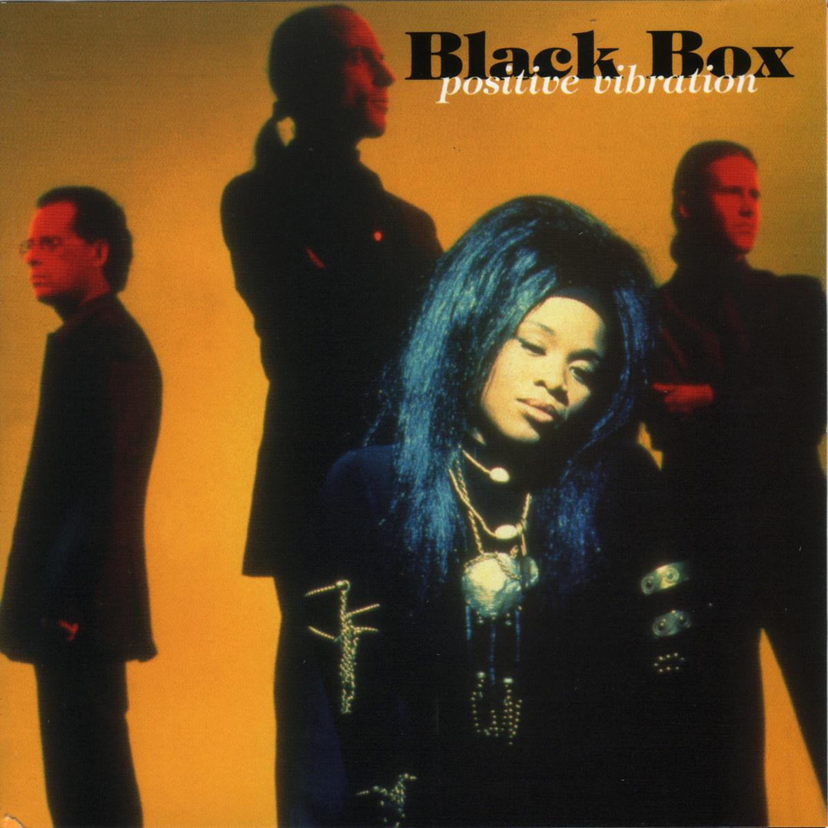 Black Box - Rockin To the Music (album mix)