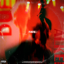 fate专辑