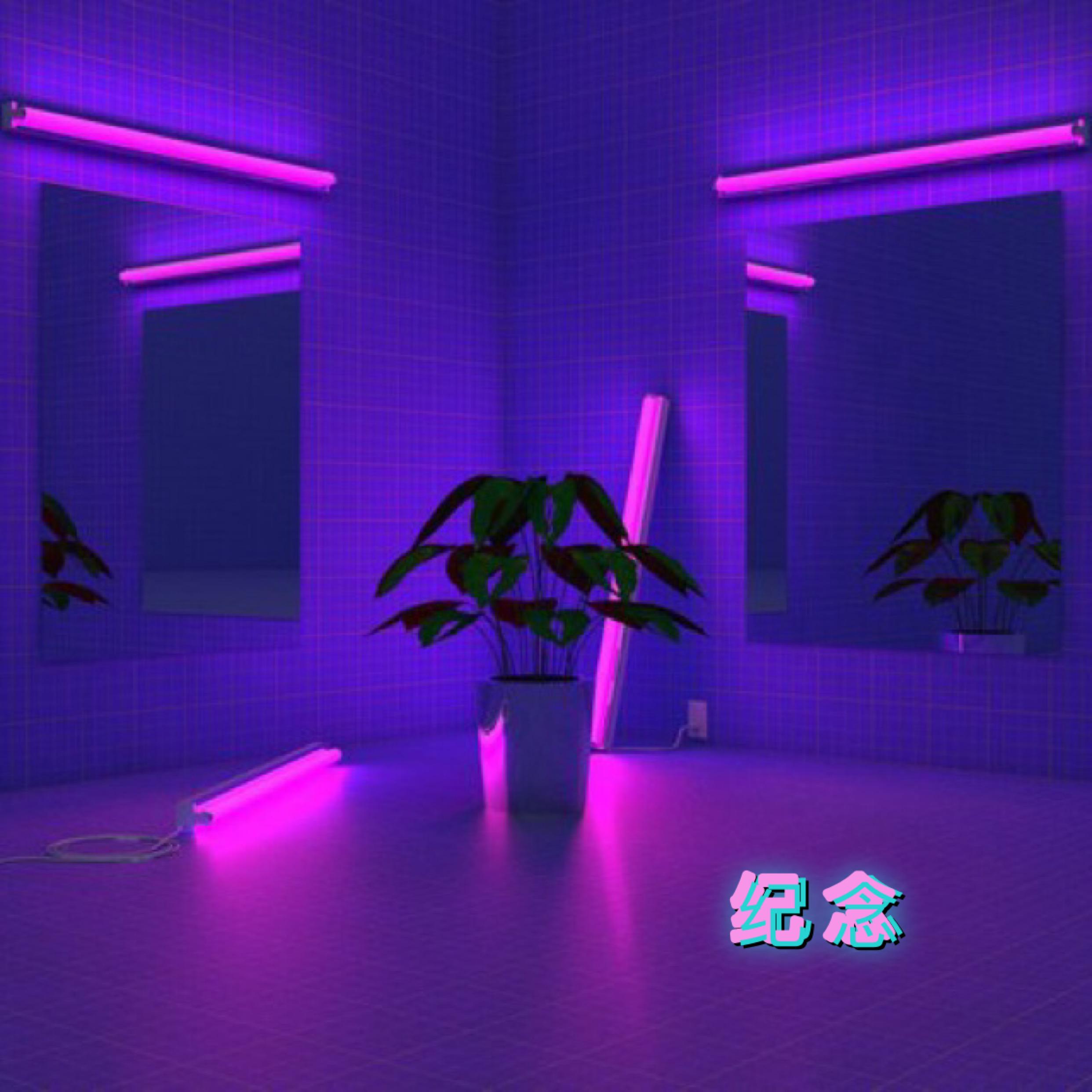 纪·念专辑