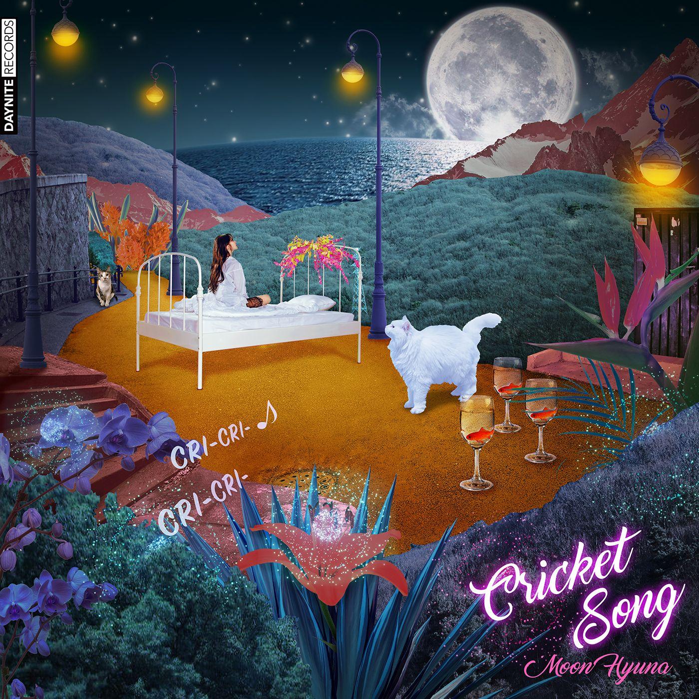 크리켓송 (Cricket Song)