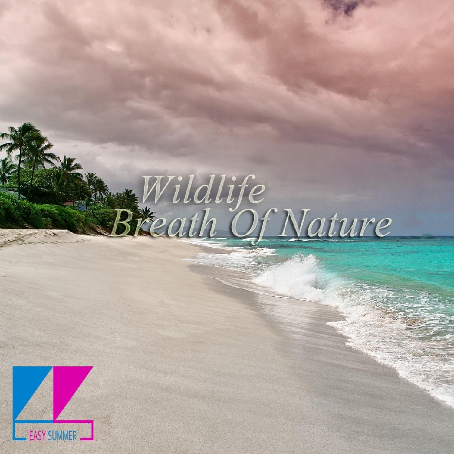 Breath of Nature