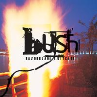 Bush - Greedy Fly ( Karaoke )
