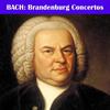 Brandenburg Concerto No. 6 in B-Flat Major, BWV 1051: III. Allegro