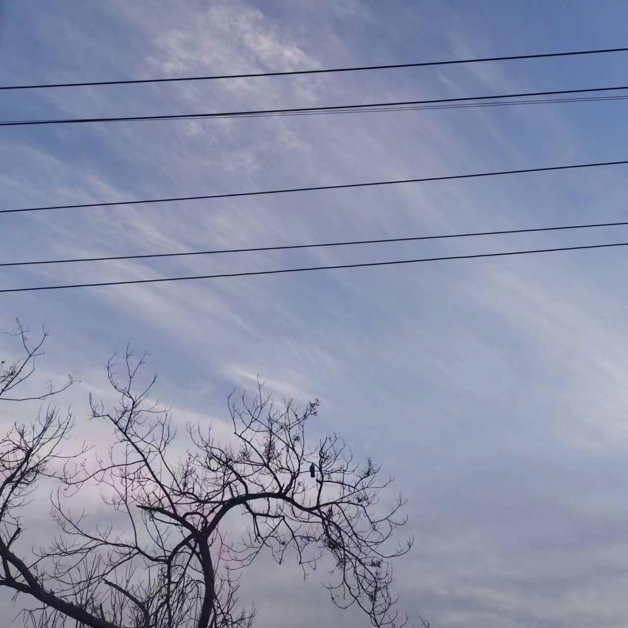 散散步