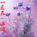 一匹花-小闯