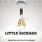 Essential Hits of Little Richard专辑