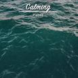 #16 Calming Pieces for Meditation and Sleep