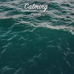 #16 Calming Pieces for Meditation and Sleep专辑