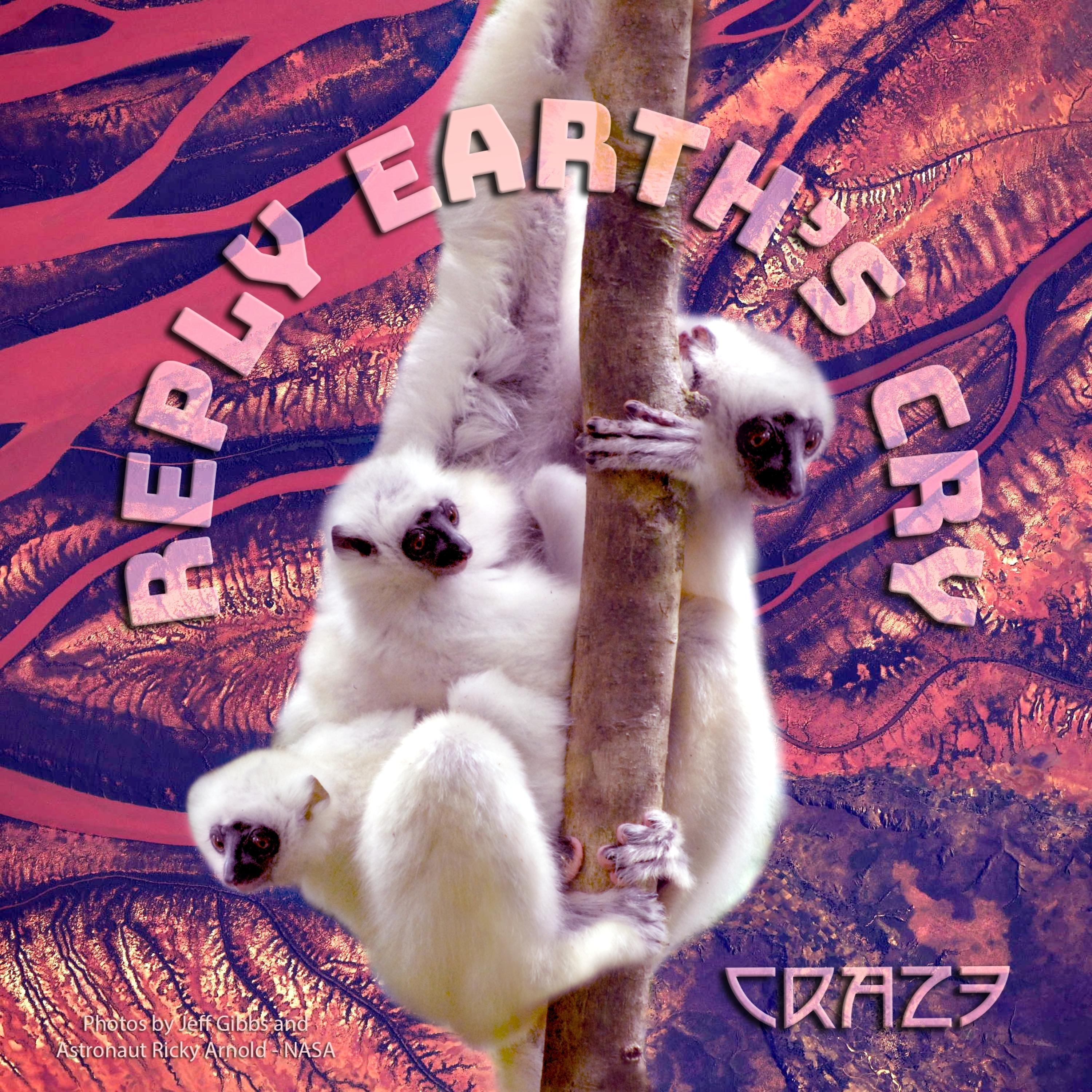 Reply Earth's Cry