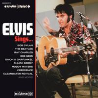 Help Me Make It Through The Night - Elvis Presley (karaoke)