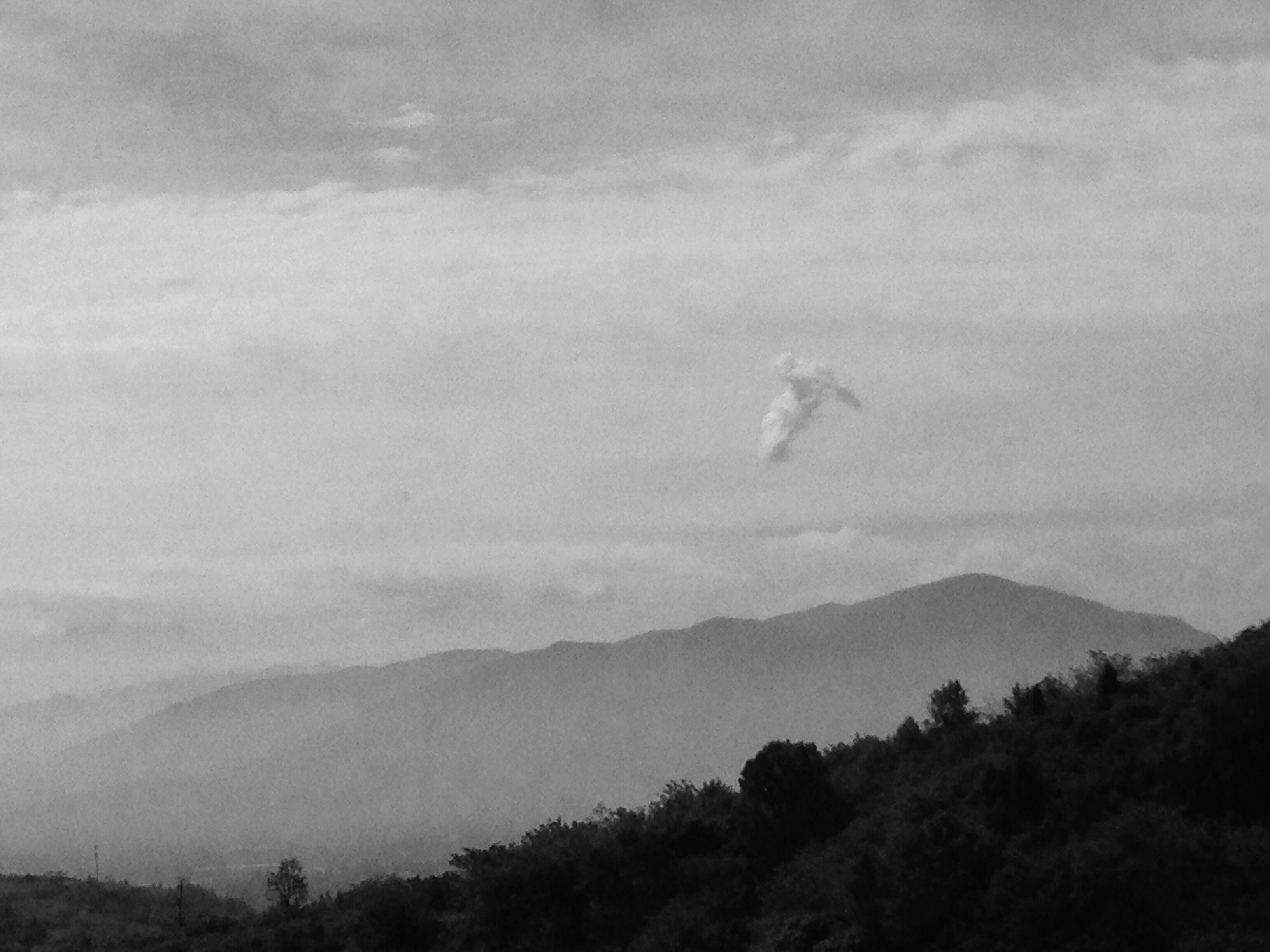 雨（纯音乐版）