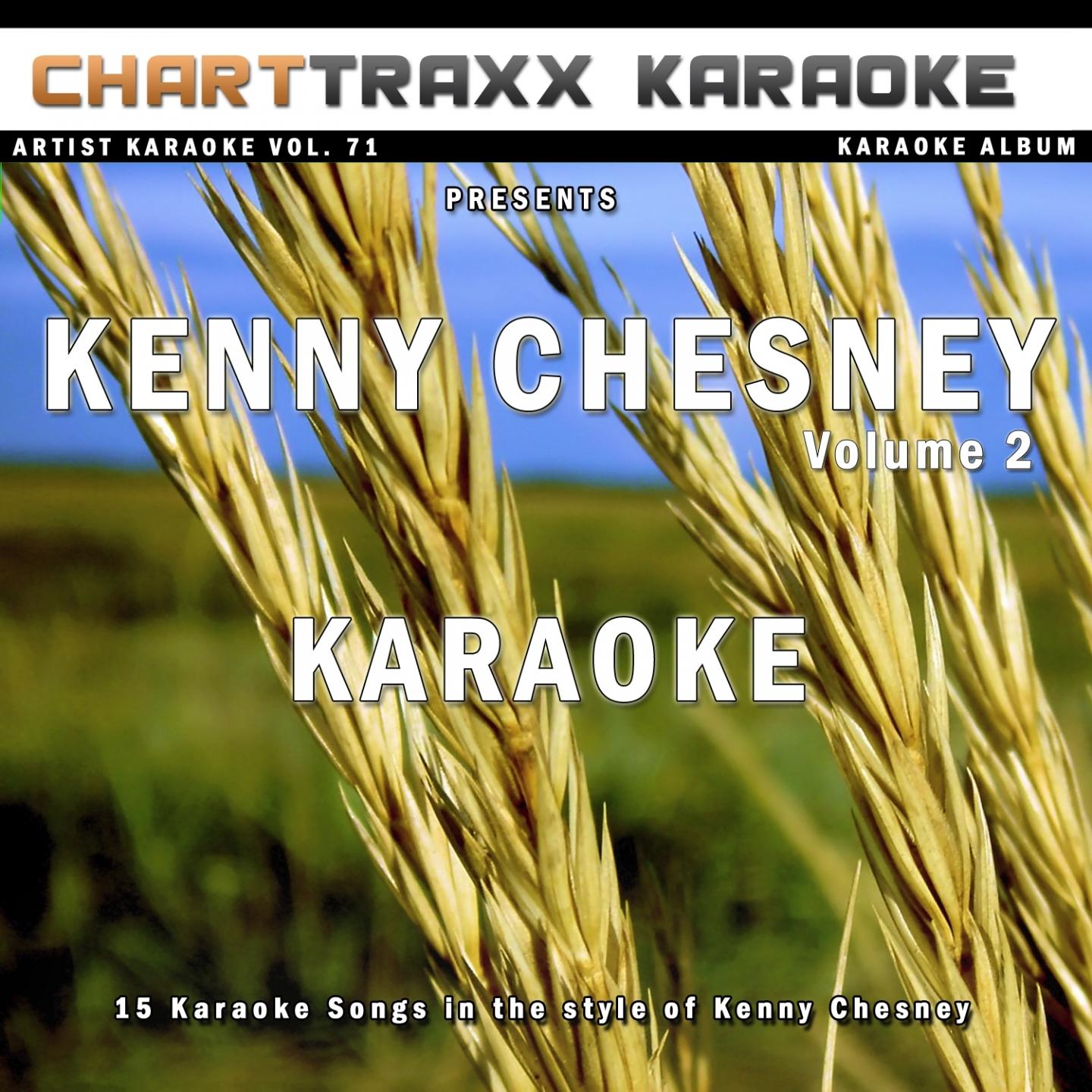 Artist Karaoke, Vol. 71 -