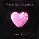 Wanna say goodbye专辑