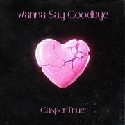 Wanna say goodbye