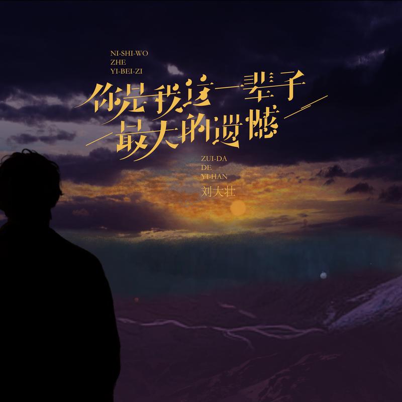 你是我这一辈子最大的遗憾