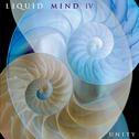 Liquid Mind IV: Unity专辑