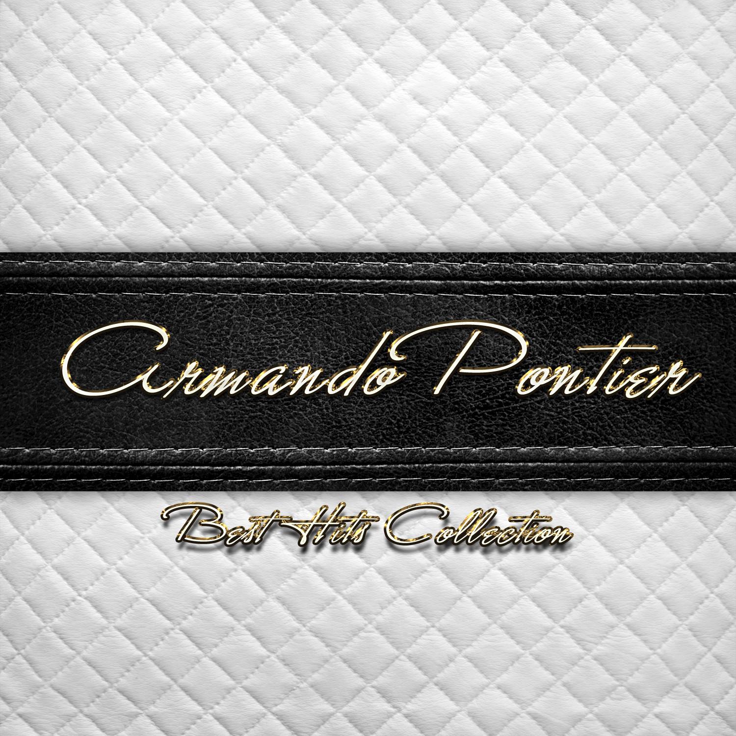 Best Hits Collection of Armando Pontier