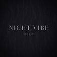 Night Vibe